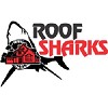 Roof Sharks
